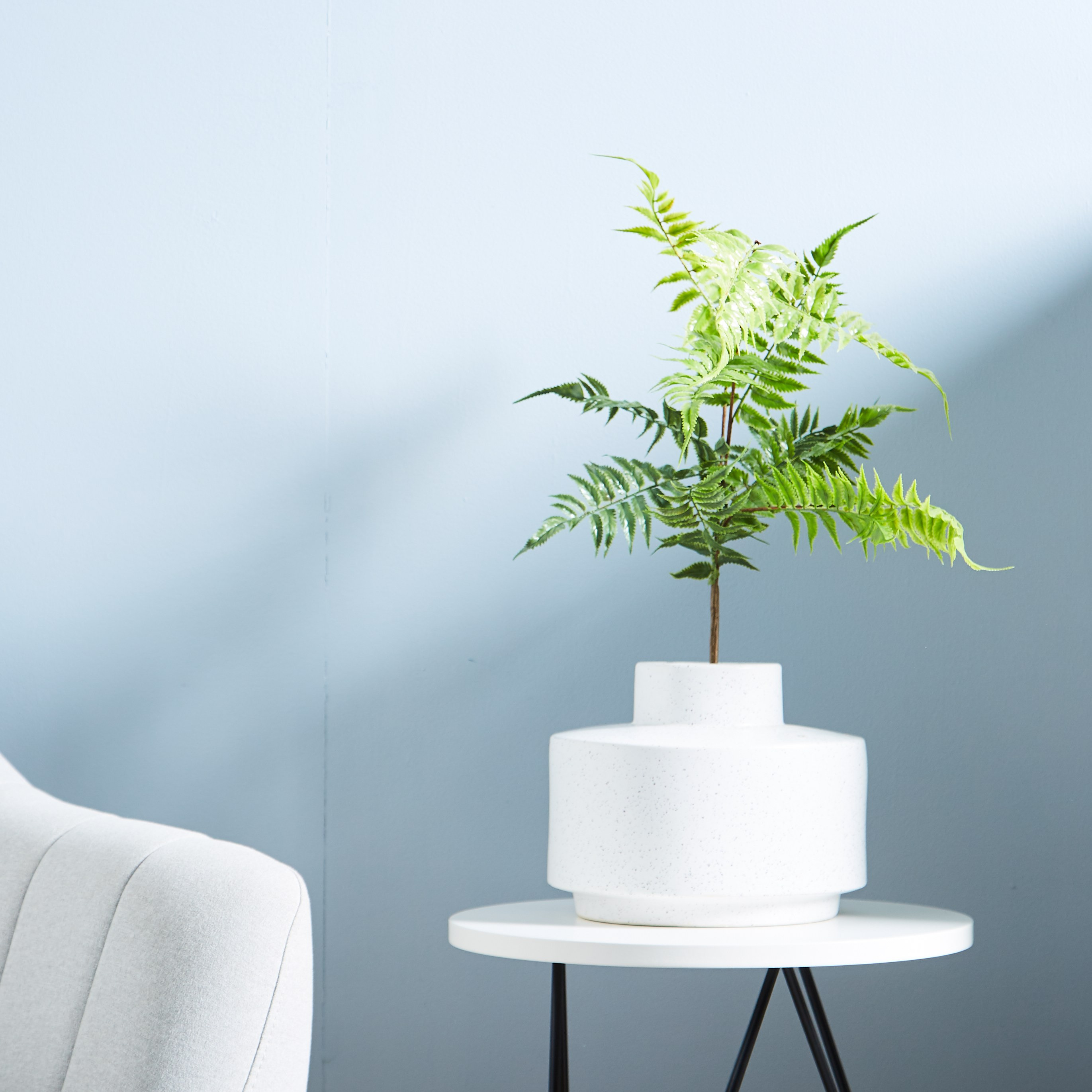 Davallia Formosana Leaf Spray  - 105 cms-household-gardenandoutdoor-artificialflowersandplants-flowers-image-1