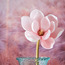 Magnolia Single Stem Lavender Flower - 51 cms-household-gardenandoutdoor-artificialflowersandplants-stems-image-2