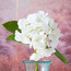 نبتة لافندر صناعيّة فرديّة - 46 سم-household-gardenandoutdoor-artificialflowersandplants-stems-image-2