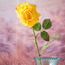 Rose Single Stem Flower - 56 cms-binpromo_ALLBANKS_OMN_14032025-image-5