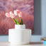 Tulip Bouquets - 38 cm-household-gardenandoutdoor-artificialflowersandplants-stems-image-1