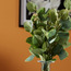 Eucalyptus Bush - 51 cms-household-gardenandoutdoor-artificialflowersandplants-fillers-image-2