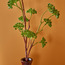 Plastic Berry Spray - 81.3 cms-household-gardenandoutdoor-artificialflowersandplants-fillers-image-2