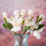 Magnolia Bundle-binpromo_ALLBANKS_OMN_14032025-image-5