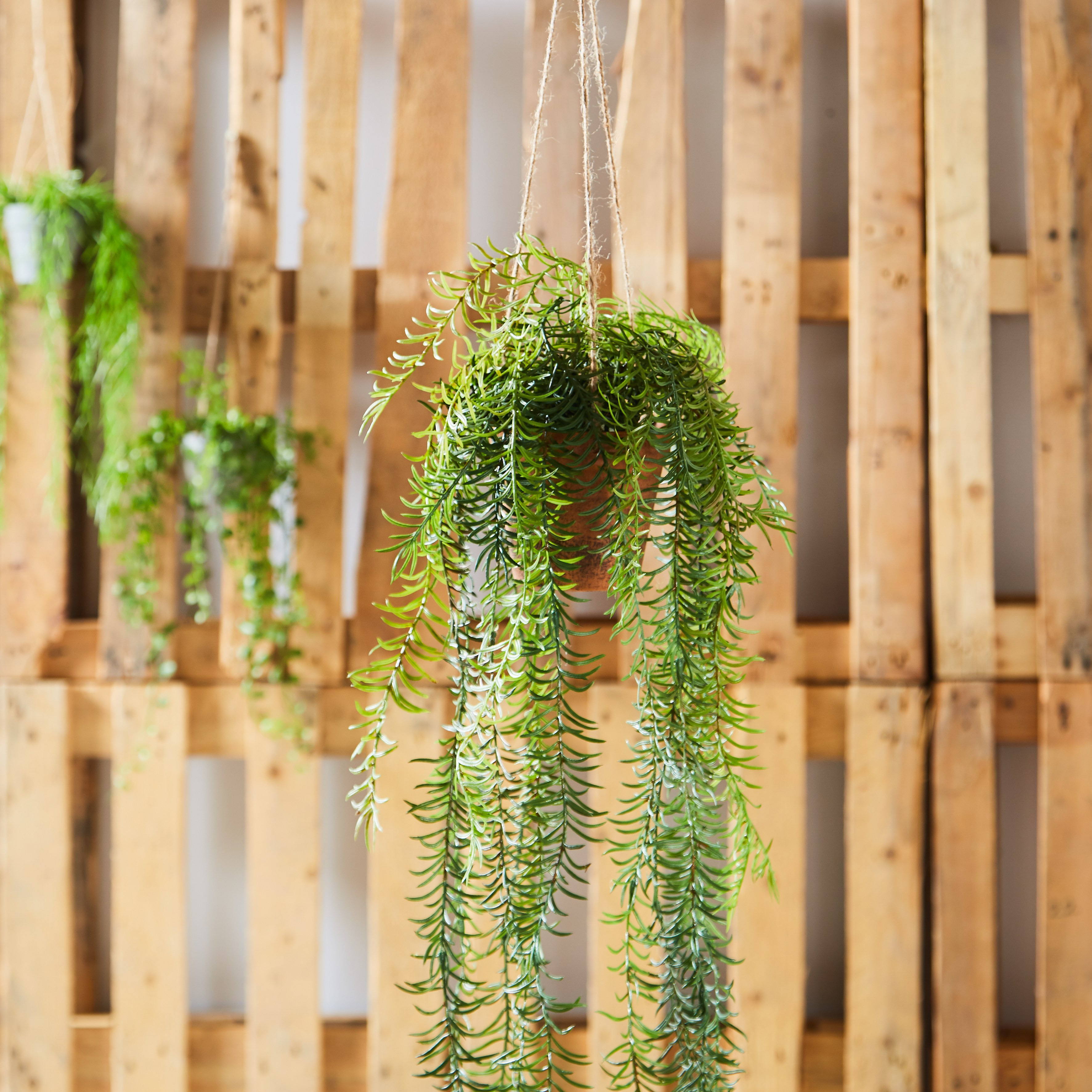 Vine with Hanging Pot-household-gardenandoutdoor-artificialplants-pottedplants-image-1
