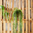 كرمة مع إناء زرع معلق-household-gardenandoutdoor-artificialplants-pottedplants-image-3