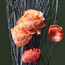 ورود مجففة للديكور - 60 سم-household-gardenandoutdoor-artificialflowersandplants-stems-image-2