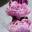 زهور صناعية في إصيص- 30 سم-PROMO_HC_SA_TESTBINPROMO_080926-image-2