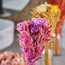 إناء زرع عشب الأفانا مزيّن-household-gardenandoutdoor-artificialflowersandplants-fillers-image-2