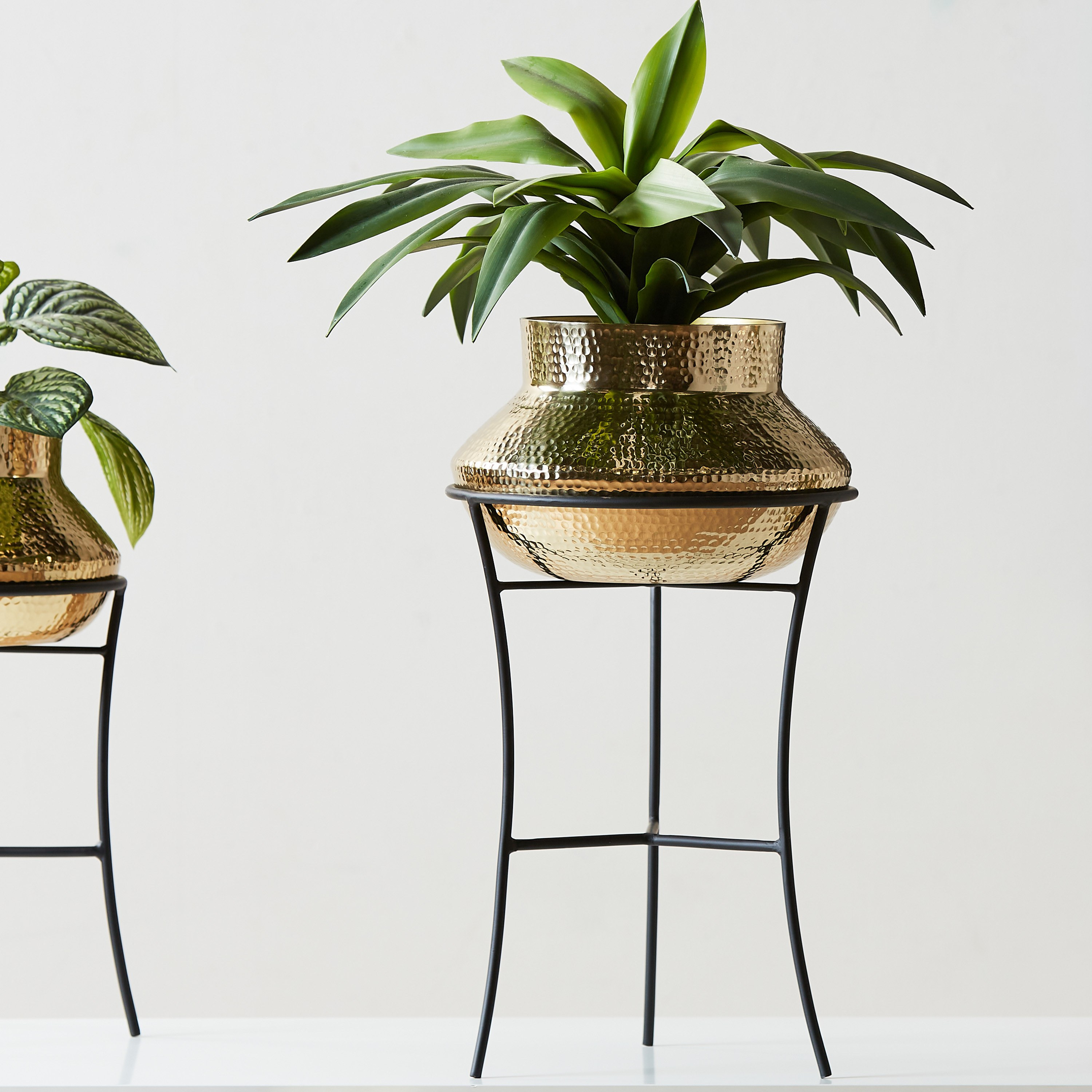 Rimo Textured Planter-household-gardenandoutdoor-potsandplanters-planters-image-1