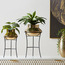 Rimo Textured Planter-binpromo_ALLBANKS_OMN_14032025-image-5