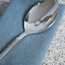 Vera Solid Spoon-binpromo_KSA_Alrajhi_17062026-image-3