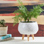 إناء زرع سيراميك بأرجل خشب - دوثي-household-gardenandoutdoor-potsandplanters-planters-image-3