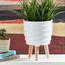 Hector Ceramic Planter with Wooden Legs-household-gardenandoutdoor-potsandplanters-planters-image-2