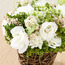 زهور صناعية متنوعة - بريشوس-household-gardenandoutdoor-artificialflowersandplants-flowers-image-2