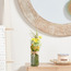 Daisy Flowers in Glass Vase-household-gardenandoutdoor-artificialflowersandplants-flowers-image-3