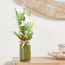 Orchid Flowers in Glass Vase-household-gardenandoutdoor-artificialflowersandplants-flowers-image-1