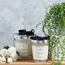 Boutique Peony and Blush Suede Scented Glass Candle-household-homefragrance-candles-image-3