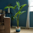 Fan Palm Tree - 160 cm-household-gardenandoutdoor-trees-image-2