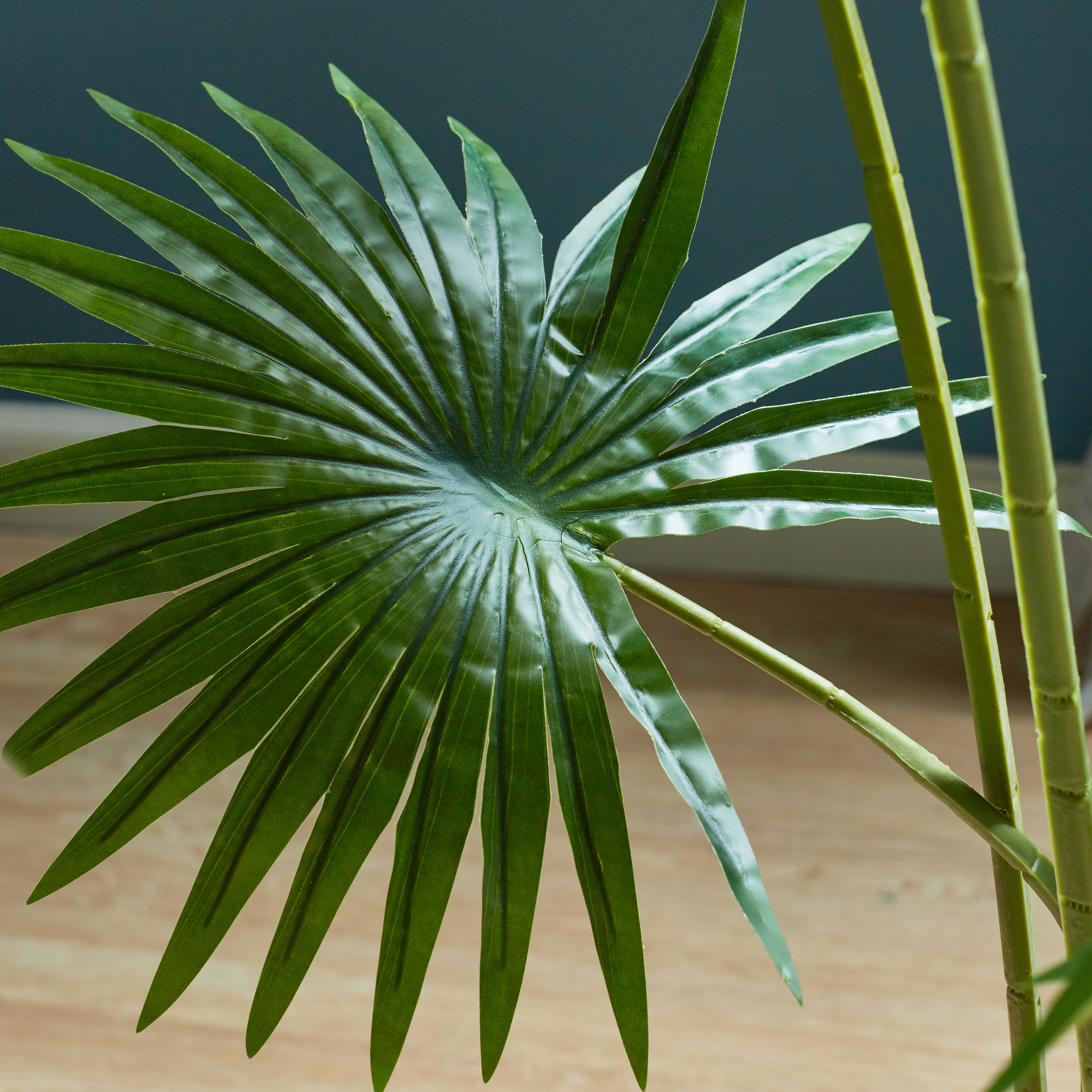 Fan Palm Tree - 160 cm-household-gardenandoutdoor-trees-image-3