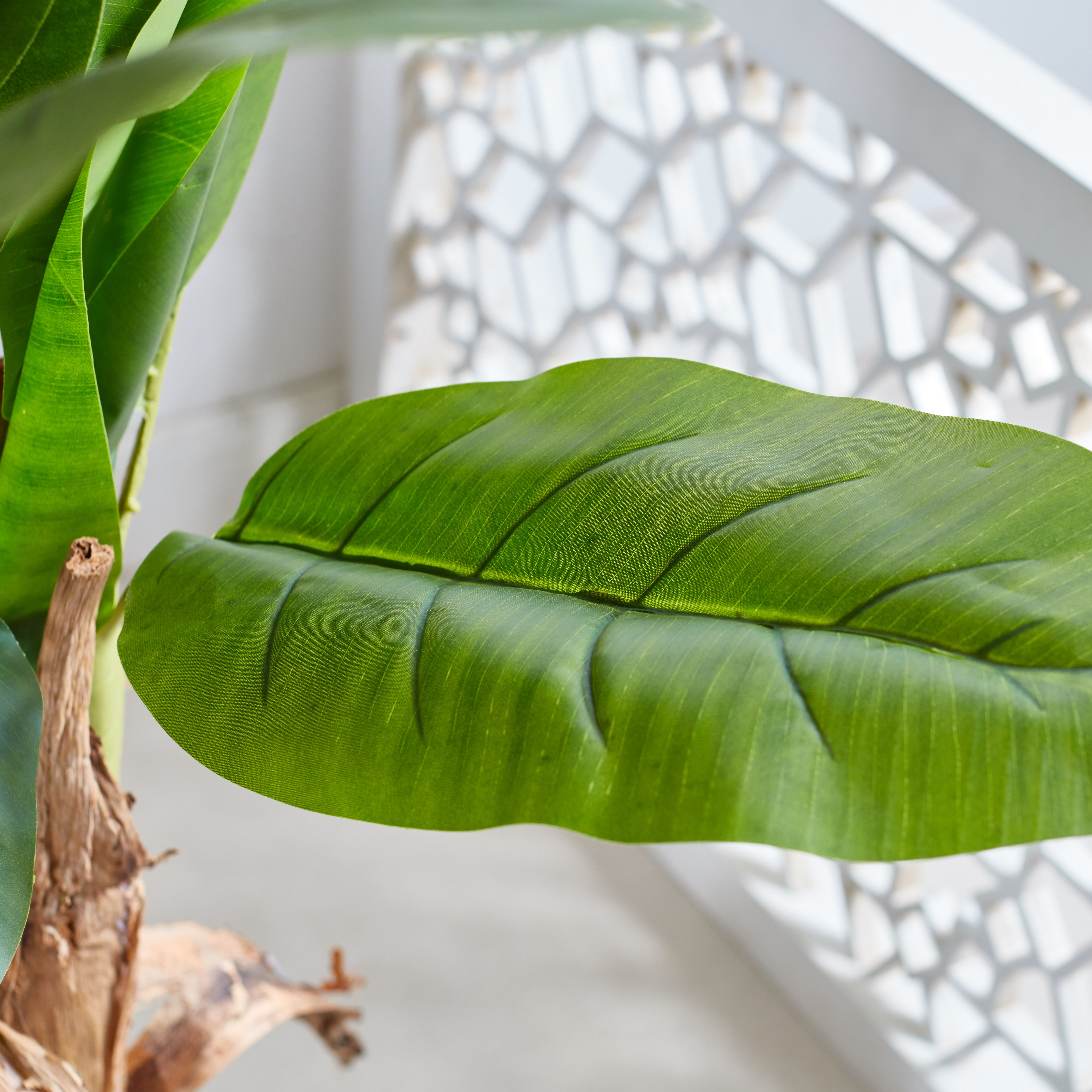 Triple Banana Tree - 150 cm-household-gardenandoutdoor-trees-image-2