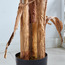 Triple Banana Tree - 150 cm-household-gardenandoutdoor-trees-image-3