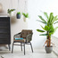 Triple Banana Tree - 150 cm-household-gardenandoutdoor-trees-image-4
