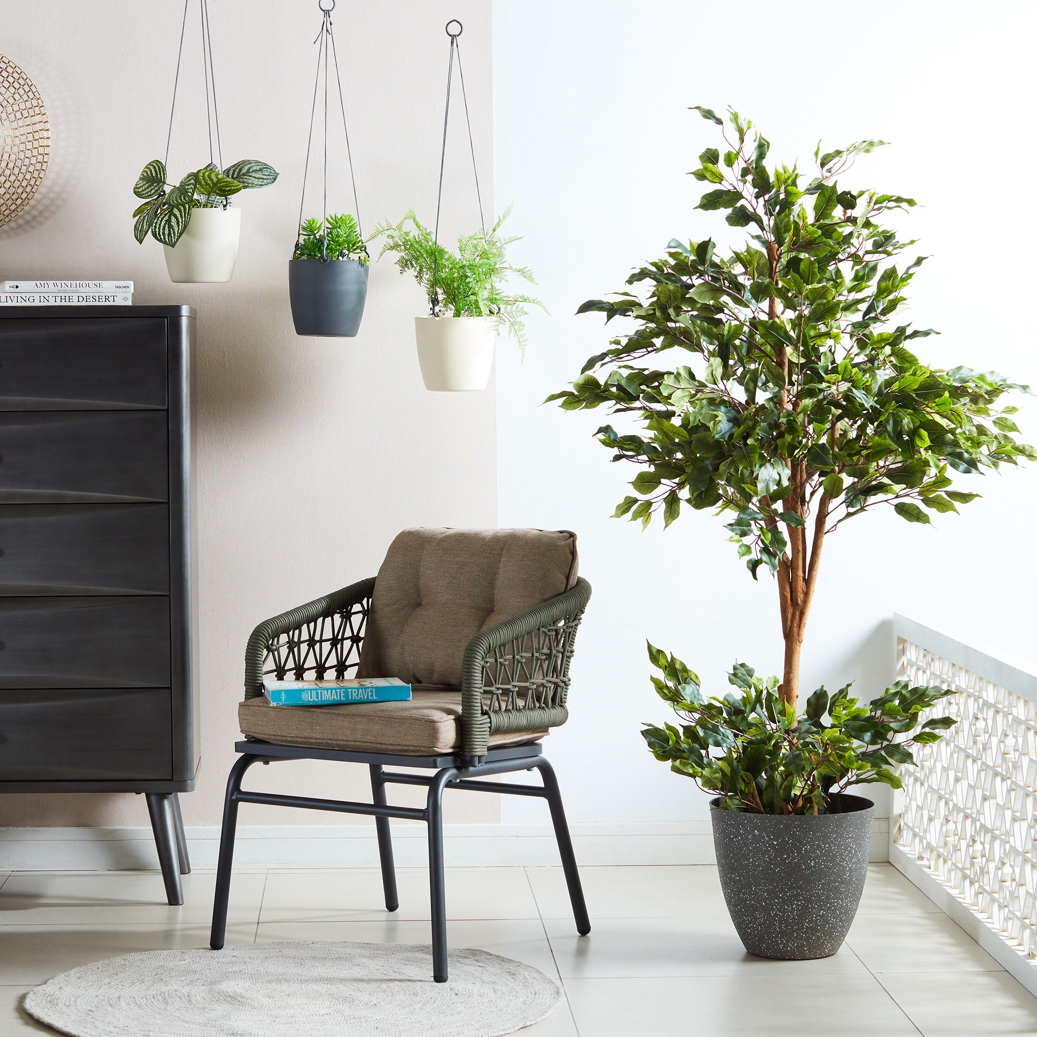 Fortress Ficus Tree - 150 cm-household-gardenandoutdoor-trees-image-4