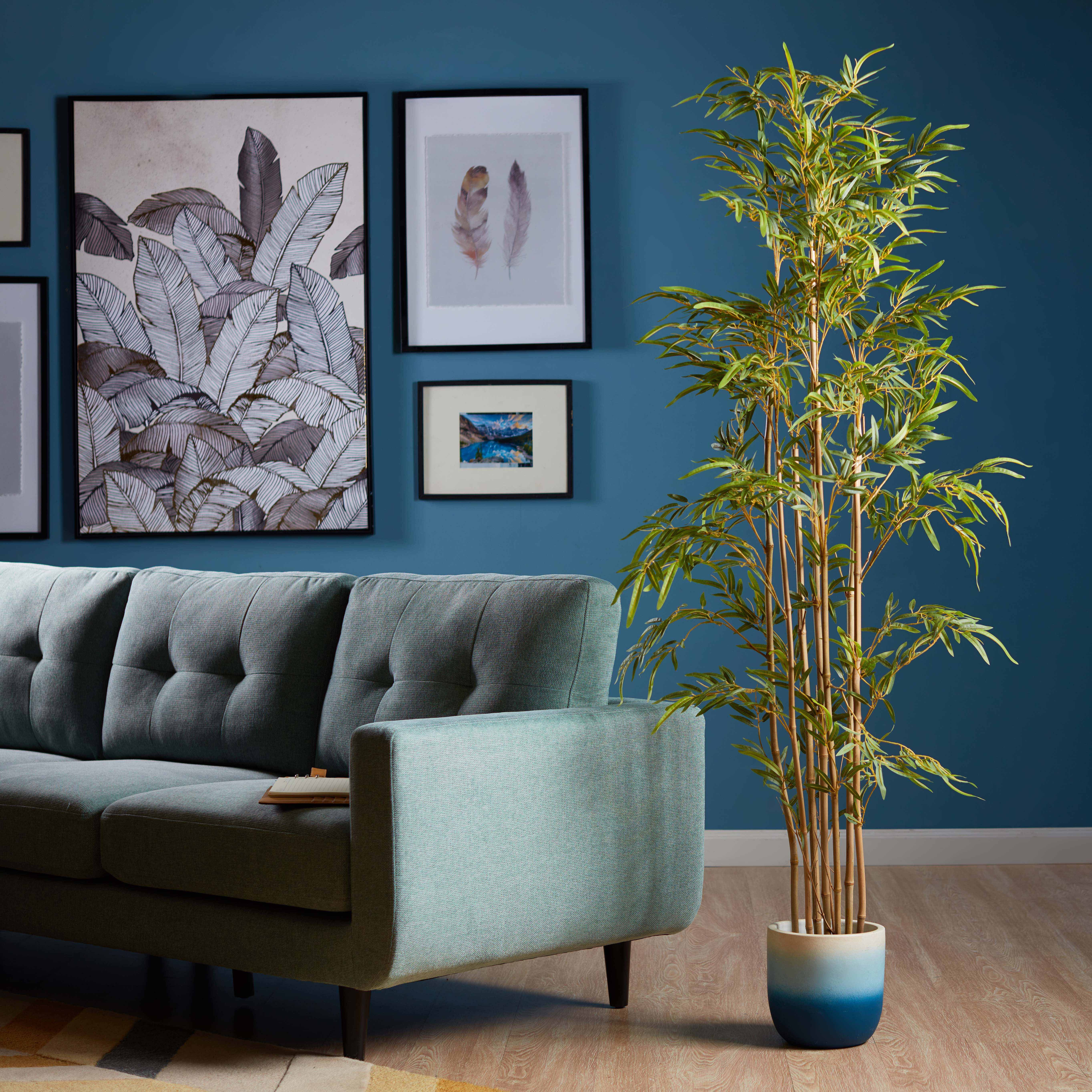 Baby Bamboo Tree - 180 cm-household-gardenandoutdoor-trees-image-1