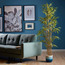 شجرة خيزران صغيرة - 180 سم-household-gardenandoutdoor-trees-image-5
