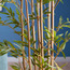 شجرة خيزران صغيرة - 180 سم-household-gardenandoutdoor-trees-image-3