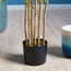 شجرة خيزران صغيرة - 180 سم-household-gardenandoutdoor-trees-image-2
