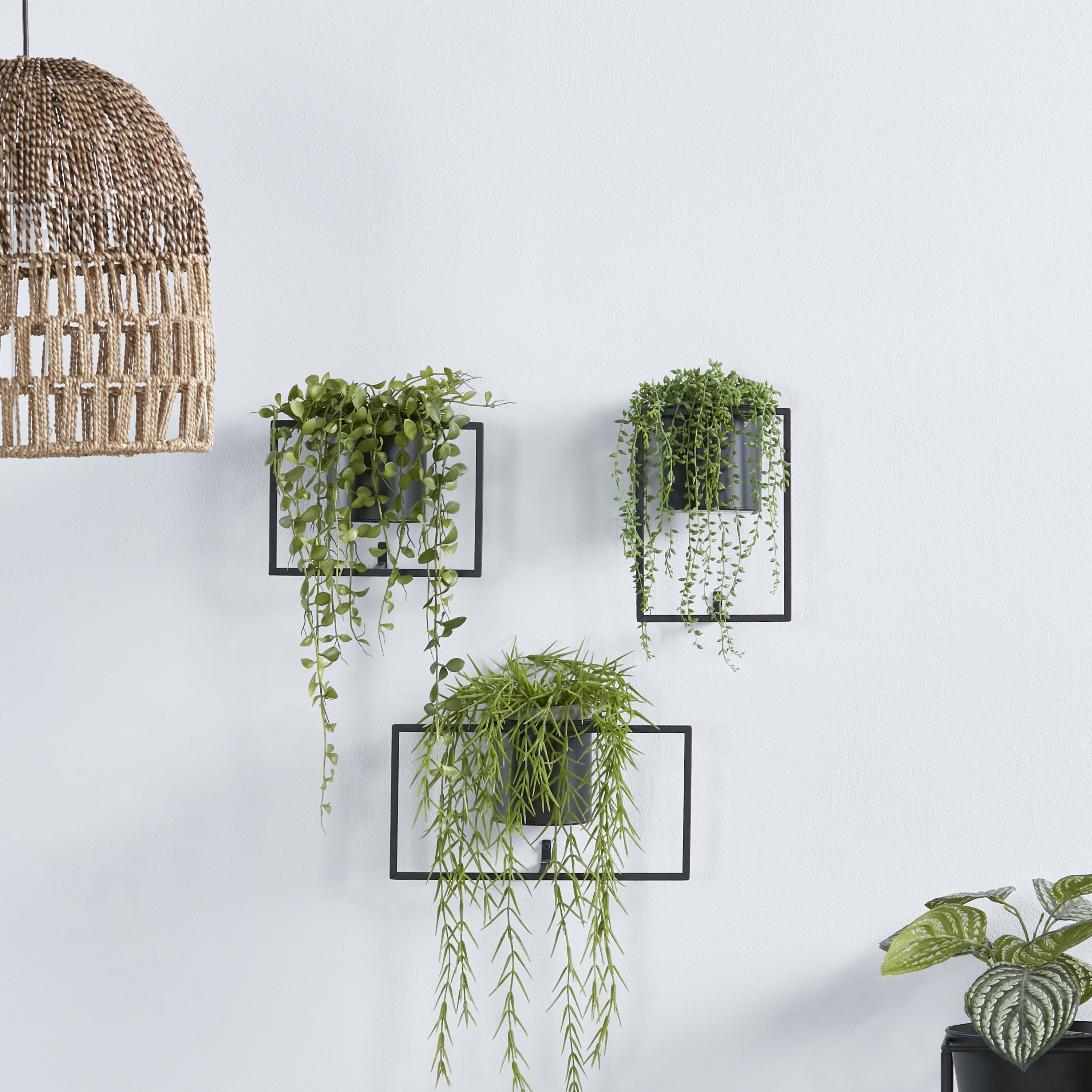 Wall mounted store flower pots