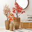 وعاء زرع مخروطي من ميرسيد-binpromo_ALLBANKS_OMN_14032025-image-1