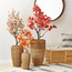 وعاء زرع مخروطي من ميرسيد-binpromo_ALLBANKS_OMN_14032025-image-1