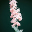 Flocked Delphinium Lavender - 88 cm-household-gardenandoutdoor-artificialflowersandplants-stems-image-6