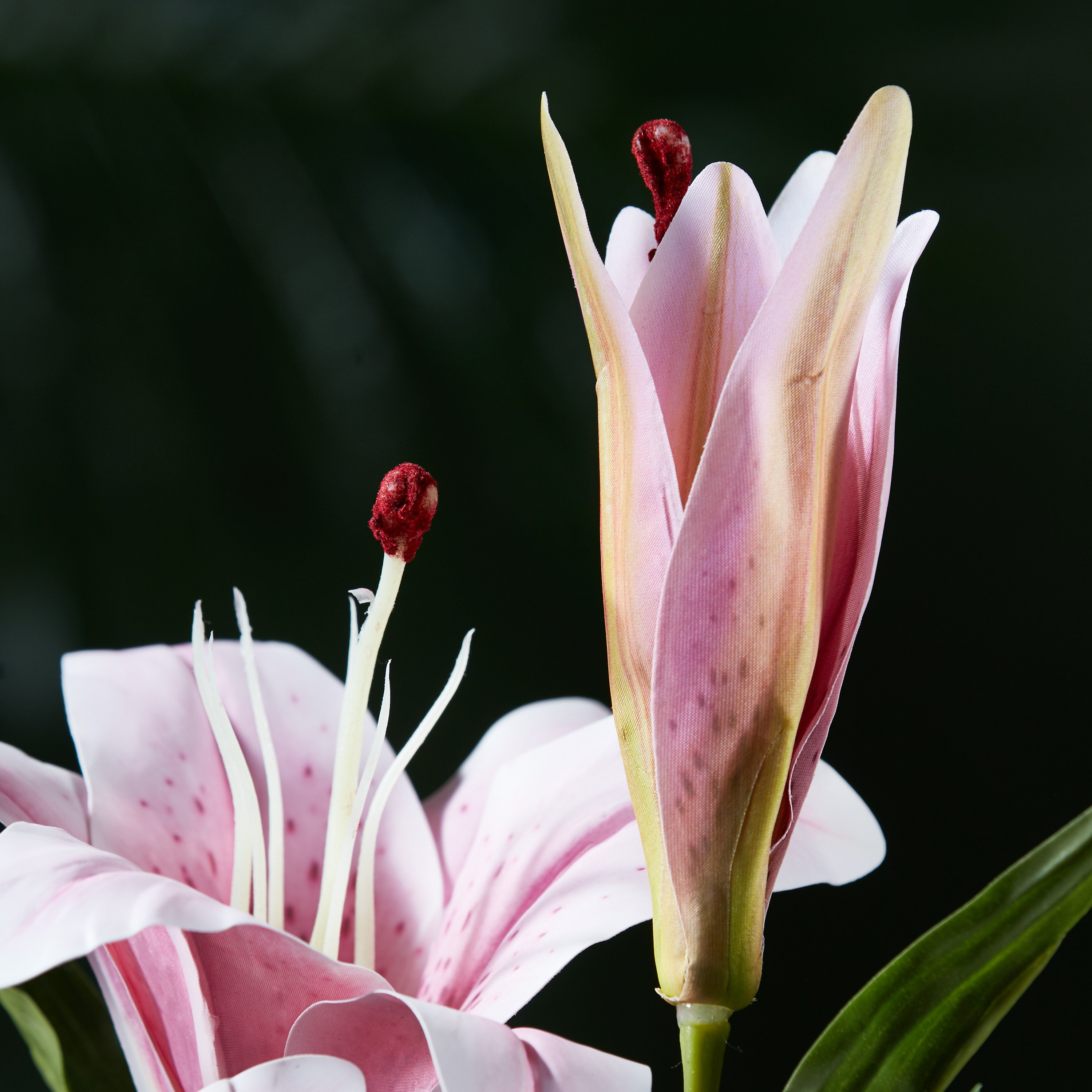 ・ lily (⁠◍⁠•⁠ᴗ⁠•⁠◍⁠)⁠❤ Lovely Lily & Roses Bouquet-All White | Akron, OH