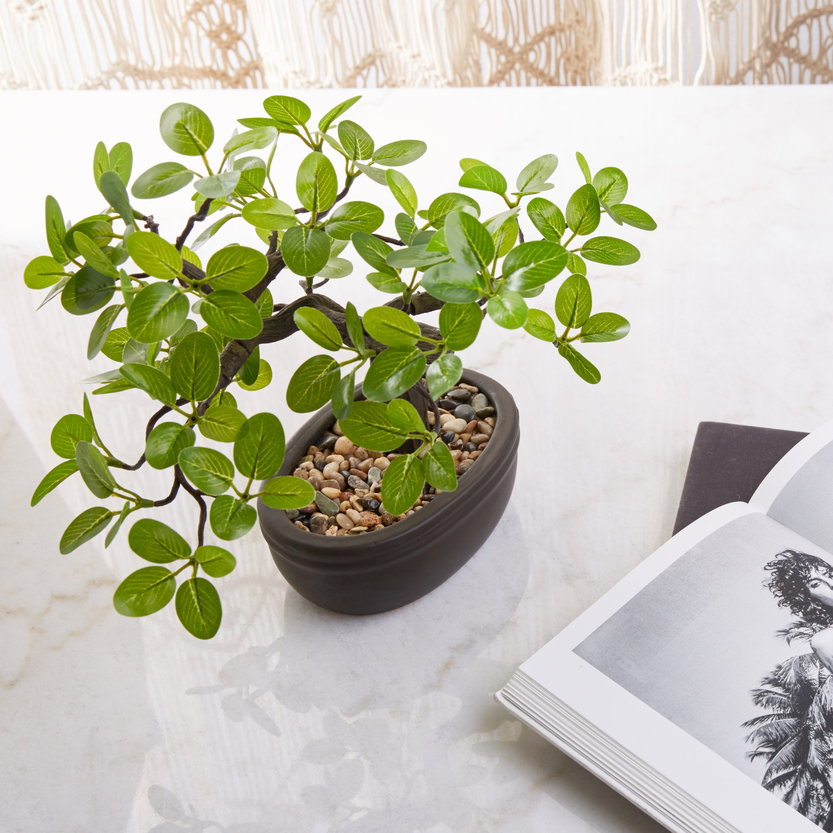 Aura Bonsai Tree in Pot - 36 cm-household-gardenandoutdoor-artificialplants-bonsai-image-2