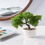 Rhyne Bonsai Tree in Pot - 25 cm-household-gardenandoutdoor-artificialplants-bonsai-image-1