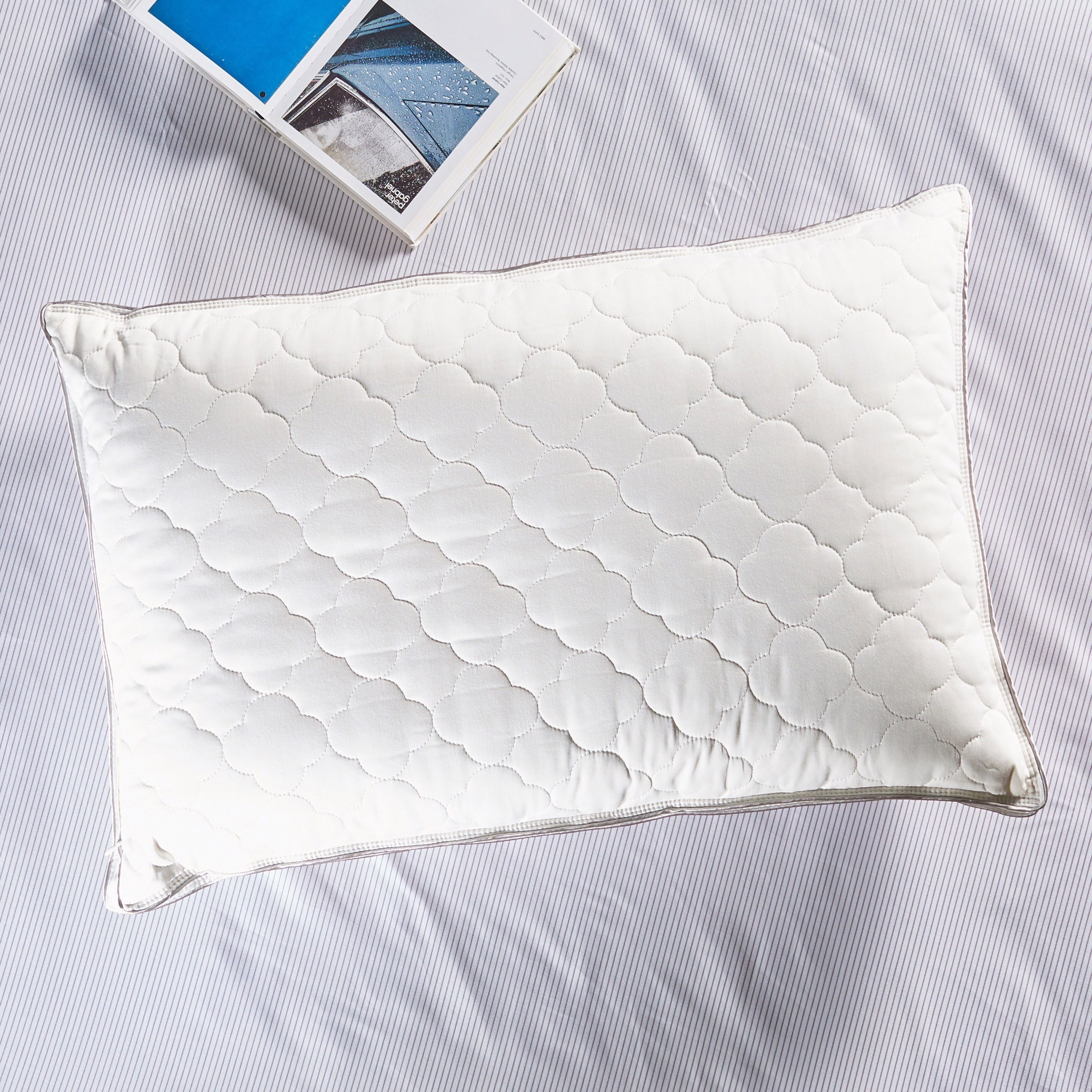 Organic cotton outlet pillows