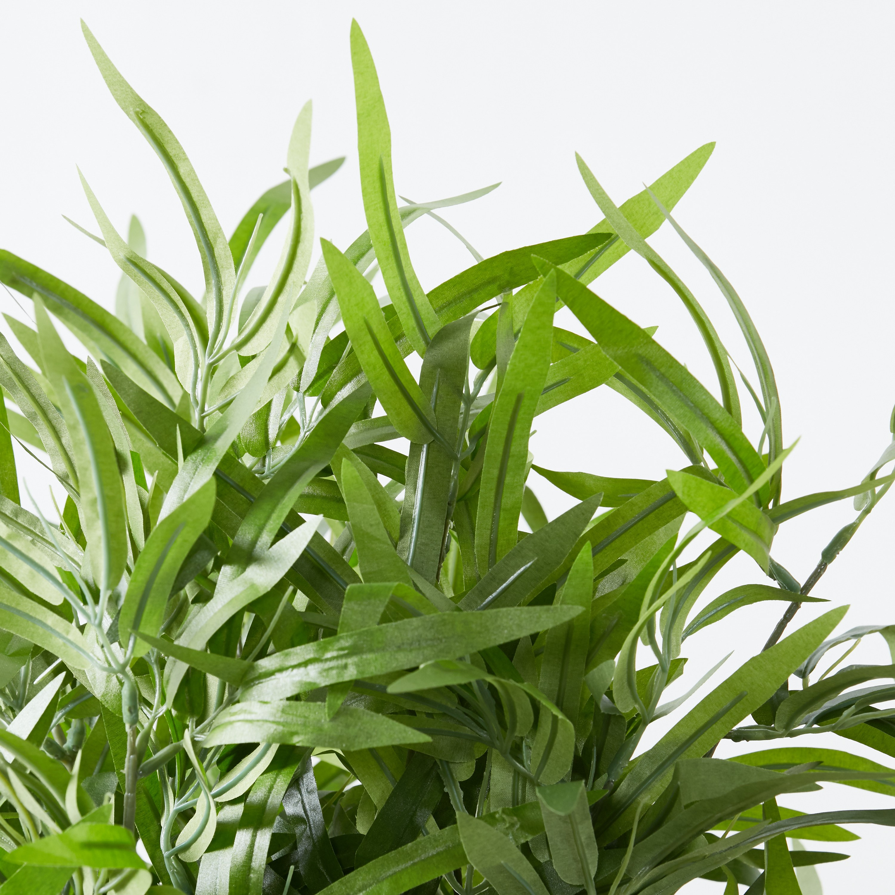 Bamboo Tree - 110 cm-household-gardenandoutdoor-trees-image-2