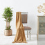 Bamboo Tree - 110 cm-household-gardenandoutdoor-trees-image-4