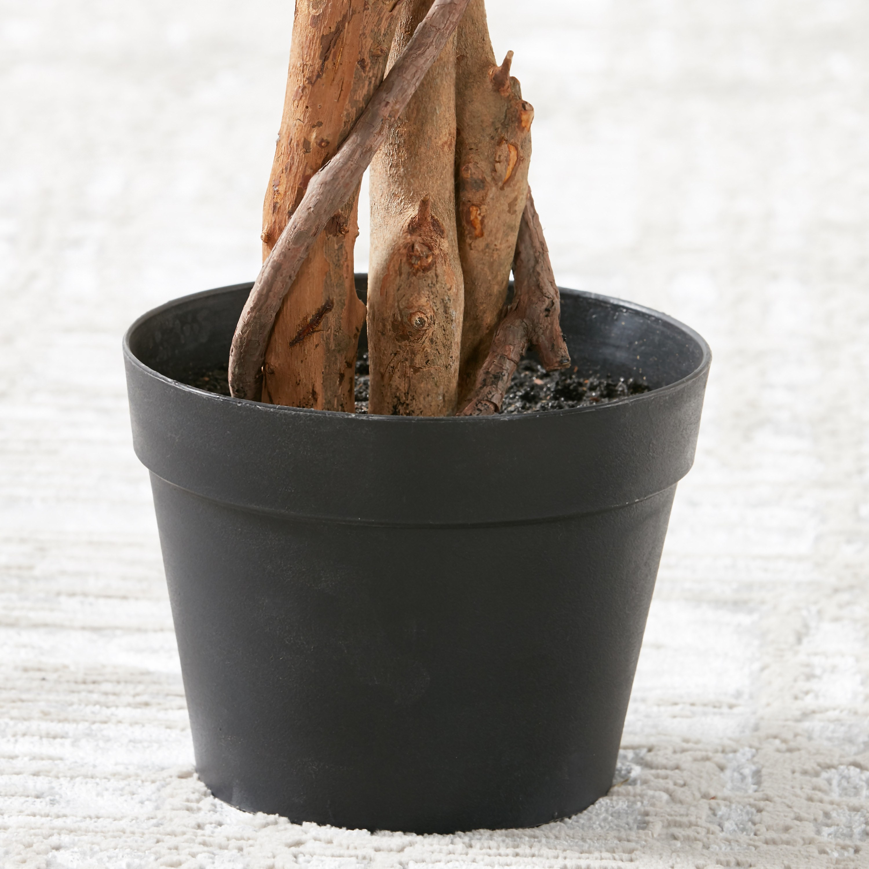 Ficus Tree - 130 cm-household-gardenandoutdoor-trees-image-3