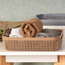 Turt Basket - 1.2 L-household-storage-storagesolutions-storageboxesandbaskets-image-4