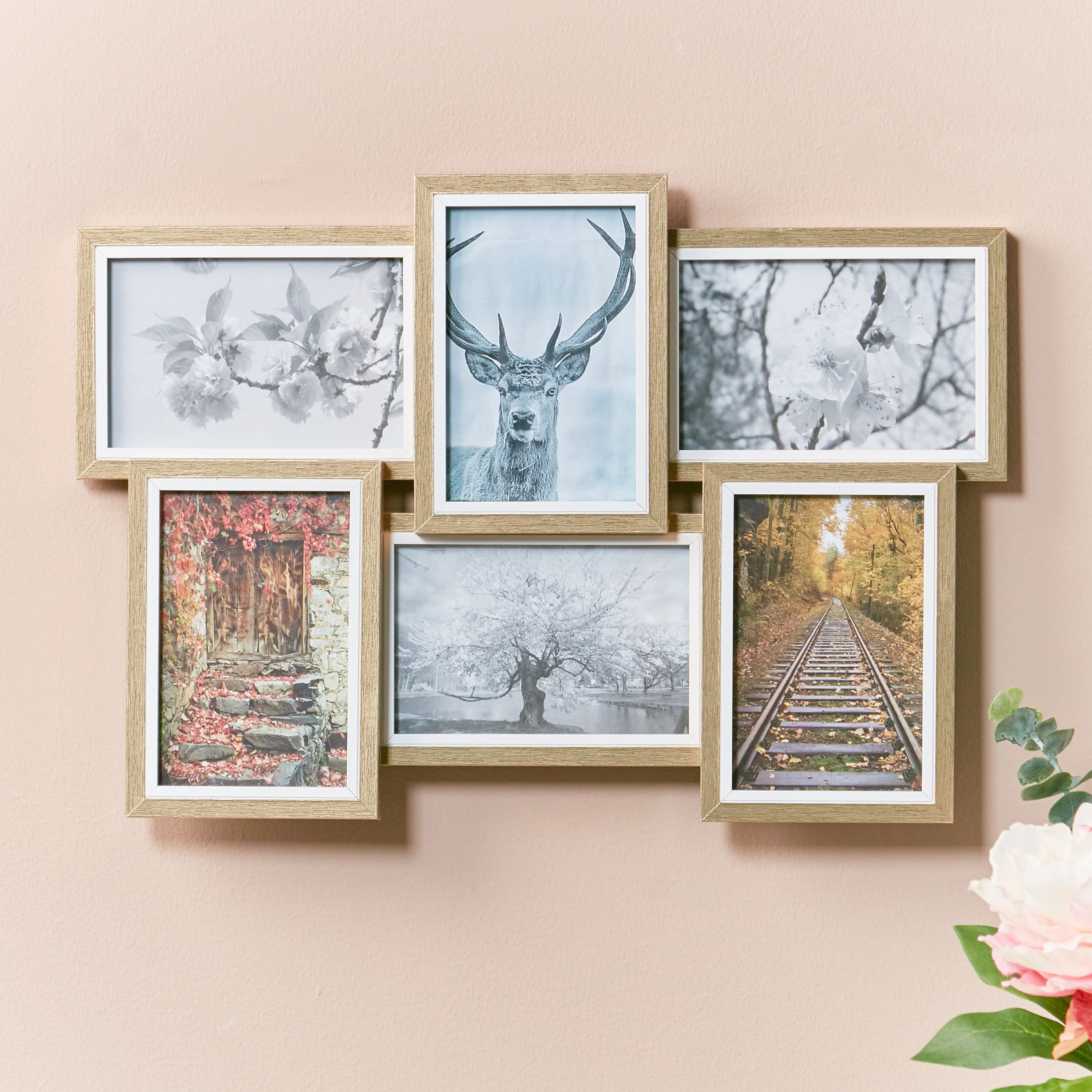 Alyssum 6-Photo Collage Frame-household-walldecorandmirrors-photoframes-image-1