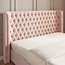 Colette Curve King Headboard - 180 cm-Voucher_HCOC_ALL_25022025-image-42