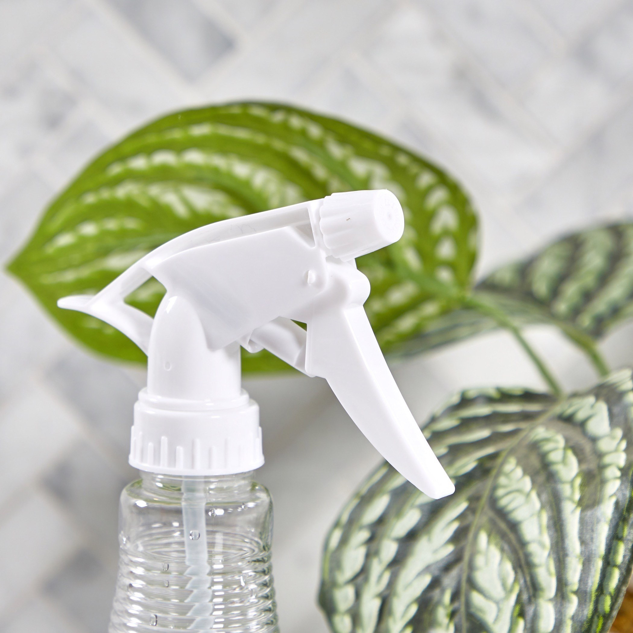 Citron Spray Bottle-household-bathandlaundry-laundrysolutions-laundryaccessories-image-2