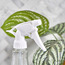 Citron Spray Bottle-InfluencerCodes_Ramadan26_All_20012026-image-2