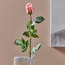 Rose Single Stem Flower - 75 cm-household-gardenandoutdoor-artificialflowersandplants-flowers-image-1