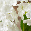 Hydrangea Artificial Flowers Stem - 53 cm-household-gardenandoutdoor-artificialflowersandplants-bundlesandbouquets-image-2